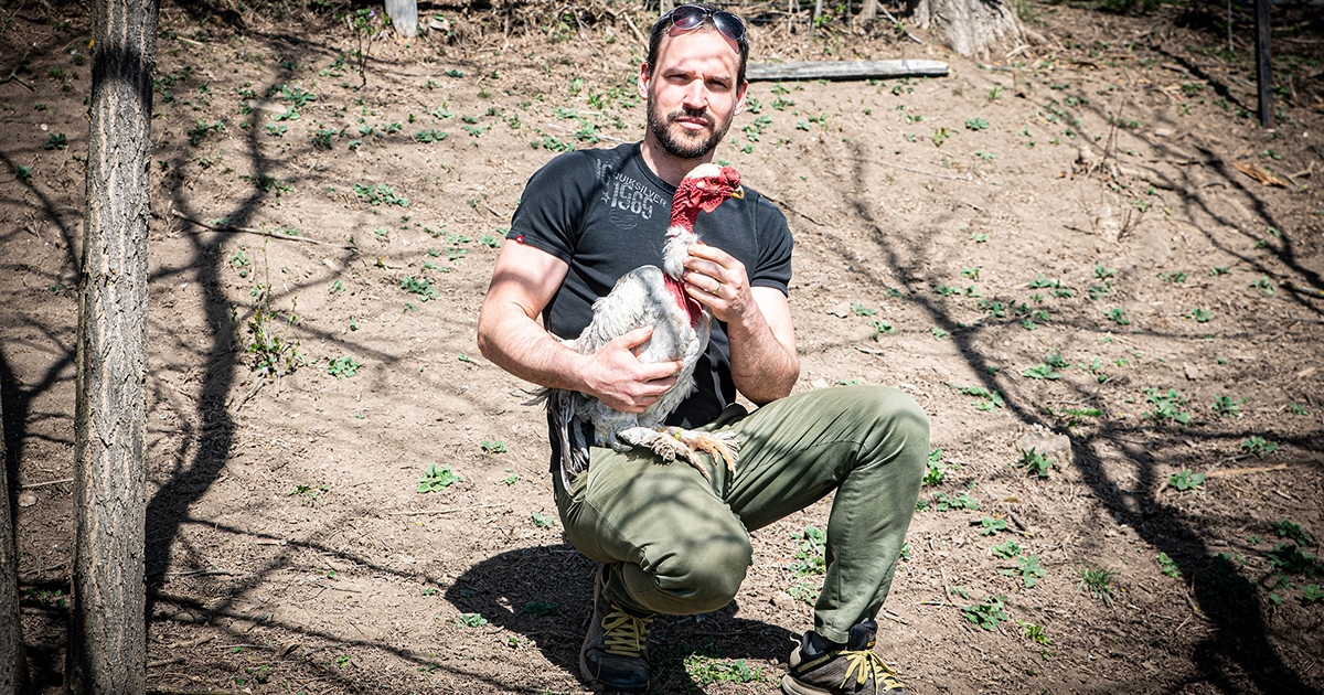 Baromfi bicskával: a székely viador